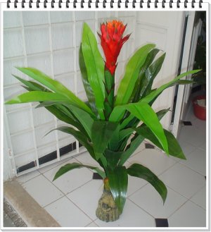 DecorKLASS -bromelia artificial- Flores y plantas artificiales-
